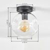Ripoll ceiling light, globe light clear, 1-light source