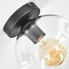 Ripoll ceiling light, globe light clear, 1-light source