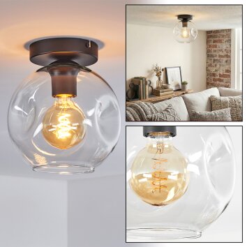 Ripoll ceiling light, globe light clear, 1-light source