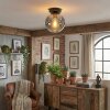Ripoll ceiling light, globe light clear, Smoke-coloured, 1-light source