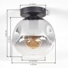 Ripoll ceiling light, globe light clear, Smoke-coloured, 1-light source