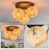 Basto ceiling light, globe light Ecru, 3-light sources