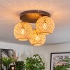 Basto ceiling light, globe light Ecru, 3-light sources