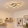 Marek ceiling light LED black, 1-light source