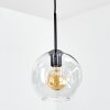 Ripoll hanging light, globe light, pendant light clear, 1-light source