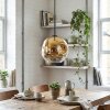 Ripoll hanging light, globe light, pendant light gold, clear, 1-light source