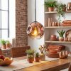 Ripoll hanging light, globe light, pendant light clear, coppery, 1-light source