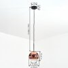 Ripoll hanging light, globe light, pendant light clear, coppery, 1-light source