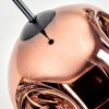 Ripoll hanging light, globe light, pendant light clear, coppery, 1-light source