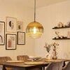 Koyoto hanging light, globe light, pendant light gold, clear, 1-light source