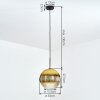 Koyoto hanging light, globe light, pendant light gold, clear, 1-light source