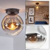 Ripoll ceiling light, globe light chrome, clear, Smoke-coloured, 1-light source