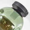 Ripoll ceiling light, globe light green, 1-light source