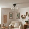 Ripoll ceiling light, globe light clear, 1-light source