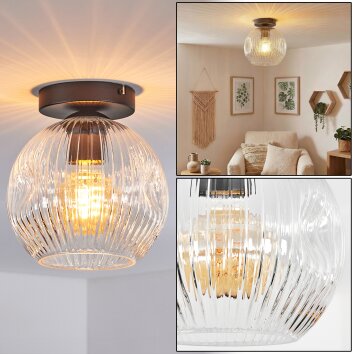 Ripoll ceiling light, globe light clear, 1-light source