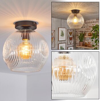 Ripoll ceiling light, globe light clear, 1-light source