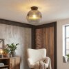 Ripoll ceiling light, globe light clear, Smoke-coloured, 1-light source