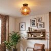 Ripoll ceiling light, globe light coppery, 1-light source