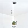Ripoll hanging light, globe light, pendant light green, 1-light source