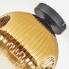 Ripoll ceiling light, globe light gold, clear, 1-light source