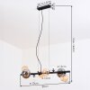 Chehalis hanging light, globe light, pendant light Amber, clear, Smoke-coloured, 8-light sources