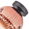 Ripoll ceiling light, globe light clear, coppery, 1-light source
