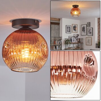 Ripoll ceiling light, globe light clear, coppery, 1-light source