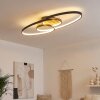 Garol ceiling light LED Ecru, black, 1-light source