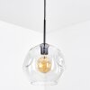 Ripoll hanging light, globe light, pendant light clear, 1-light source
