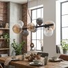 Chehalis hanging light, globe light, pendant light Amber, clear, Smoke-coloured, 8-light sources