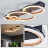 Macos ceiling light LED black, 1-light source