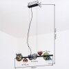 Chehalis hanging light, globe light, pendant light blue, green, clear, coppery, 8-light sources