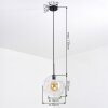 Ripoll hanging light, globe light, pendant light clear, 1-light source