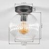 Koyoto ceiling light, globe light 20 cm clear, 1-light source