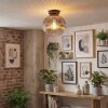 Koyoto ceiling light, globe light 25 cm clear, Smoke-coloured, 1-light source