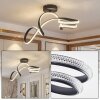 Halon ceiling light LED black, 1-light source