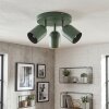 Horen ceiling light, ceiling spotlight green, 3-light sources