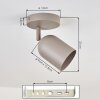 Horen ceiling light, ceiling spotlight sand-coloured, 1-light source