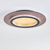 Lidor ceiling light LED gold, black, 1-light source