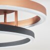 Goren ceiling light LED copper, black, 1-light source