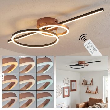 Goren ceiling light LED copper, black, 1-light source