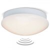 Brilliant Fakir wall and ceiling light LED white, 1-light source, Motion sensor