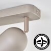 Horen ceiling light, ceiling spotlight sand-coloured, 2-light sources