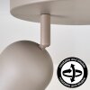 Horen ceiling light, ceiling spotlight sand-coloured, 3-light sources