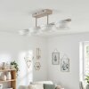 Jalek ceiling light LED sand-coloured, 1-light source