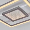 Hadel ceiling light LED grey, white, 1-light source