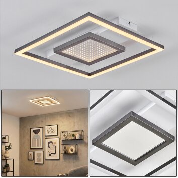 Hadel ceiling light LED grey, white, 1-light source