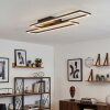 Hyacinthe ceiling light LED black, 1-light source