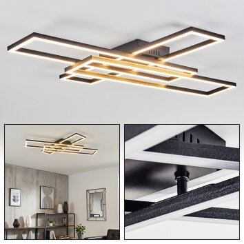 Hyacinthe ceiling light LED black, 1-light source
