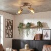 Casterk ceiling light, ceiling spotlight brown, chrome, 2-light sources